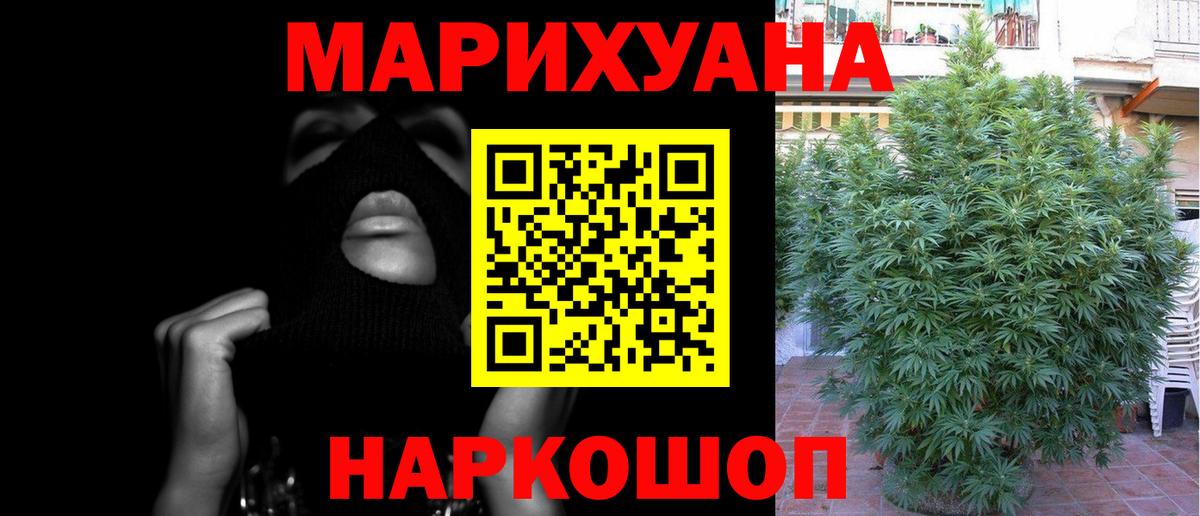 Конопля планчик Великий Новгород